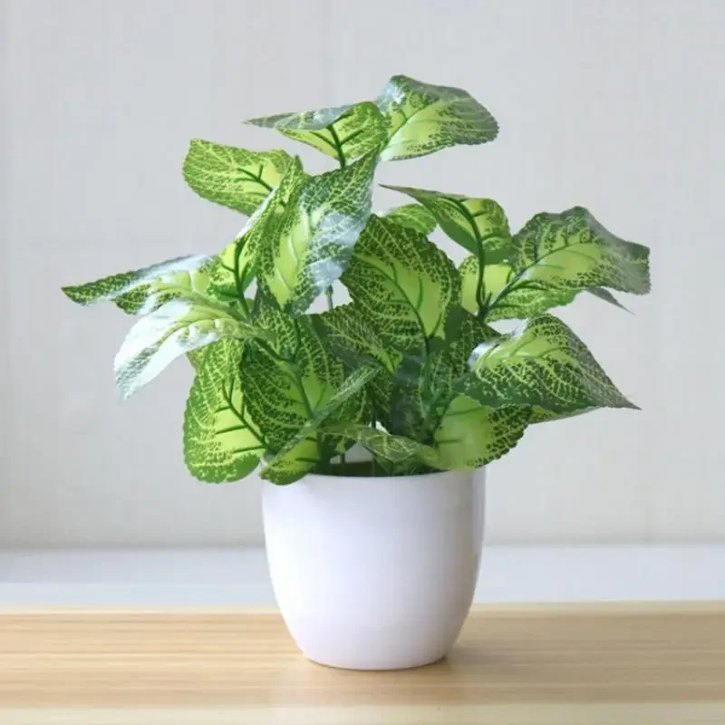 Piante artificiali Bonsai Pian - Xt Home Textiles recensione e prezzo