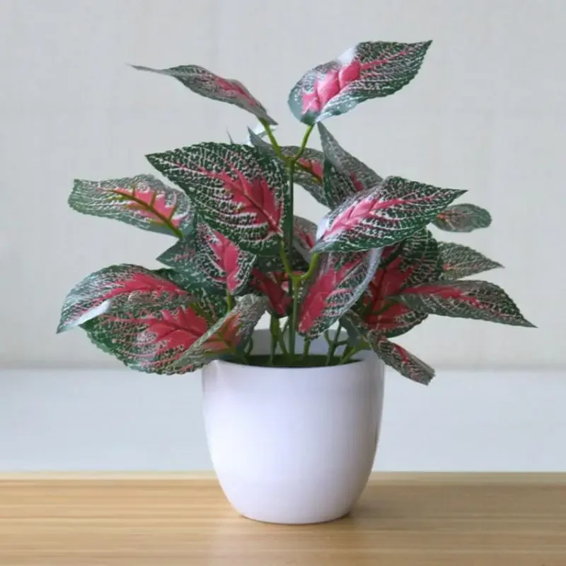 Piante artificiali Bonsai Pian - Xt Home Textiles recensione e prezzo